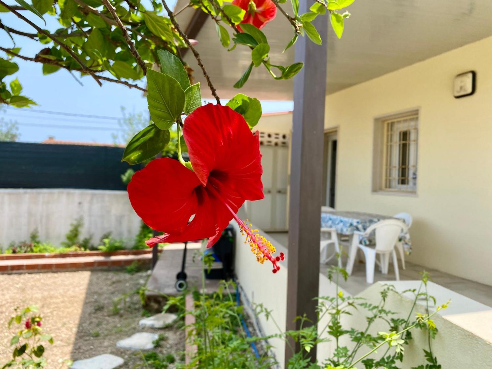 Viviholiday Calabernardo Bagian luar foto